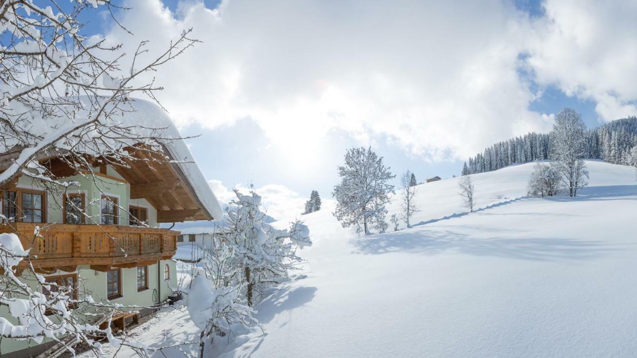 Oberschartlhof Apartment Flachau Bagian luar foto